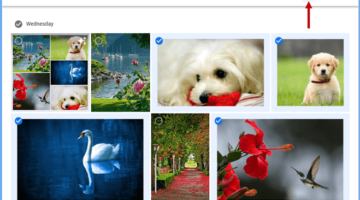 shared album on google photos