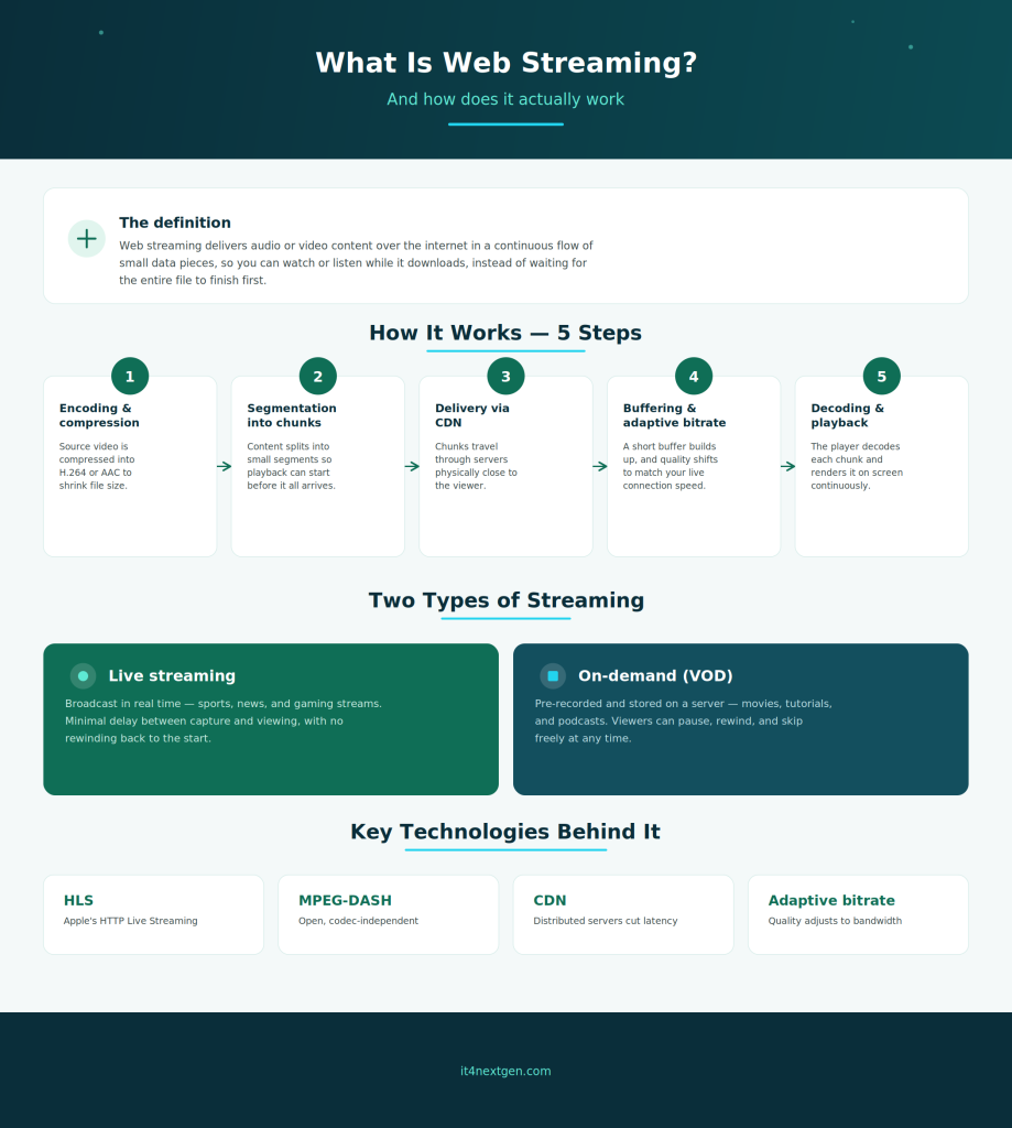web streaming infographics