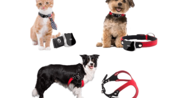 Best Pet GPS Tracker