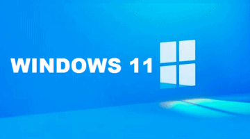 windows 11