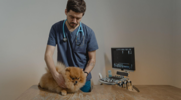 veterinary medicine