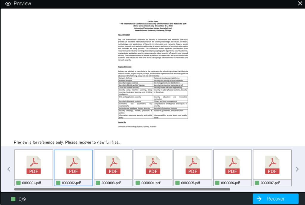 preview recovered files